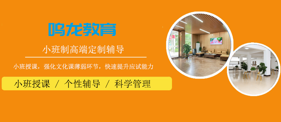 珠海鸣龙教育banner