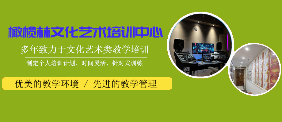 上海橄榄林文化艺术中心banner